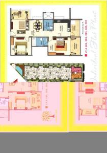 Sun Shine Orange Tree Brochure 17