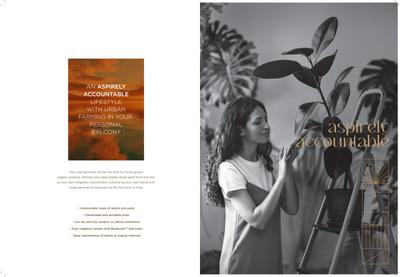 Benchmark Aspire Brochure 25