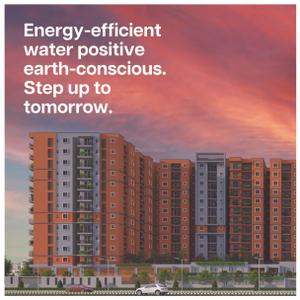 Coevolve Florenza Brochure 2