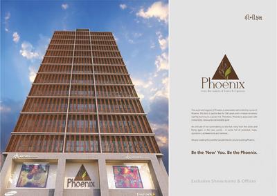 D And C Phoenix Brochure 2