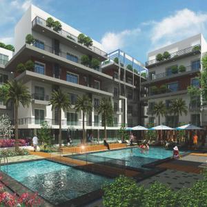 Trifecta Verdure Brochure 11