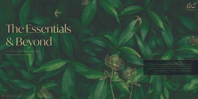 5 Elements Natures Lap Brochure 33