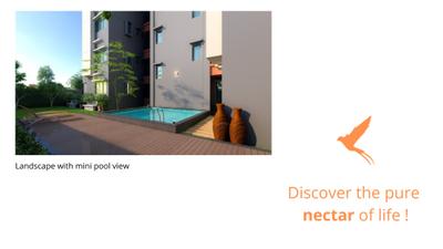 Sun Nectar Brochure 4