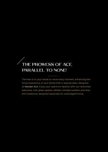 Jhamtani Nandan Ace Brochure 9