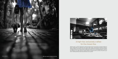 Alpha Corp Sky1 Brochure 14