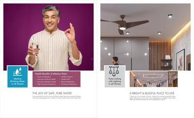 E11 Evolve Brochure 4