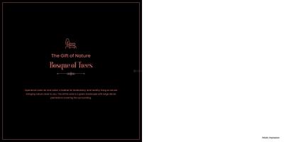 JMS The Nation Brochure 11