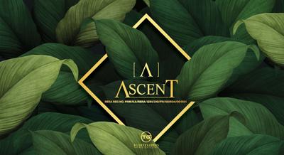 TG Ascent Brochure 1
