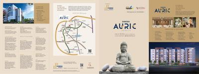 Dinesh Auric Brochure 1