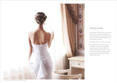 Conscient Hines Elevate Brochure 4