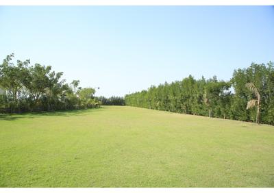 Image of 300 Sq.ft Residential Plot / Land for sale in JD Balaji Dream City, Dhingda, Ahmedabad for Rs. 3200000