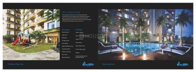 Magnolia Oxygen Brochure 3