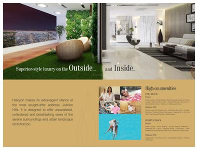 Phoenix Halcyon Brochure 4