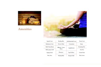 Sattva Divinity Brochure 9
