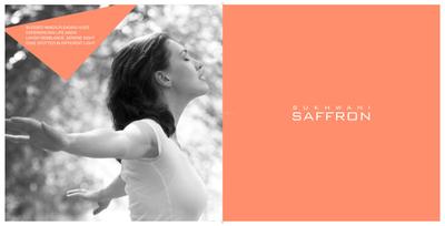 Sukhwani Saffron Brochure 2