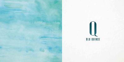 Blu Quince Brochure 1