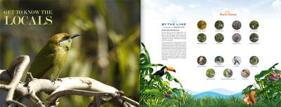 Vertex By the Lake Brochure 9