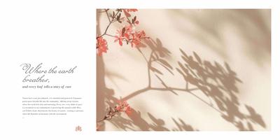 G M Mahika Brochure 9