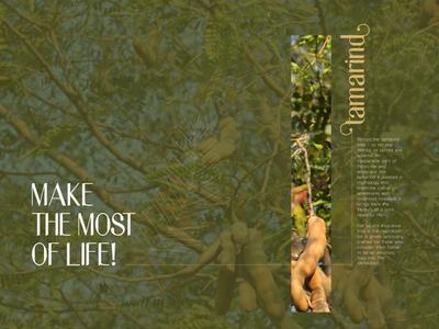 The Tamarind Brochure 2
