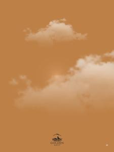 Shreenath Golden Nest Brochure 11