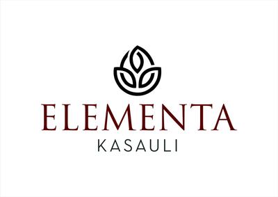Sushma Elementa Brochure 1