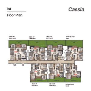 Coevolve Florenza Brochure 24