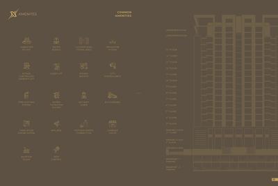 Elixir Brochure 12