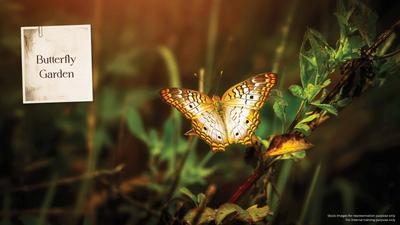 TVS Emerald Elements Brochure 16