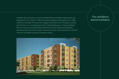 Confident Jade Brochure 13