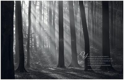 Hiranandani Cottages Brochure 2