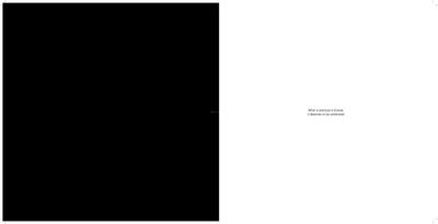Primarc Allure Brochure 2