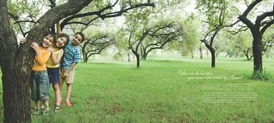 Image of 1350 Sq.ft Residential Plot / Land for sale in Altus Space Muirwoods, New Chandigarh, Chandigarh for Rs. 12000000