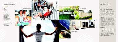The Palm Brochure 6