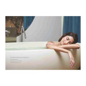 Image of 900 Sq.ft 2 BHK Apartment / Flat for sale in Lodha Splendora Platino B, Thane West, Thane for Rs. 11000000