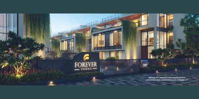 Forever Young Brochure 7