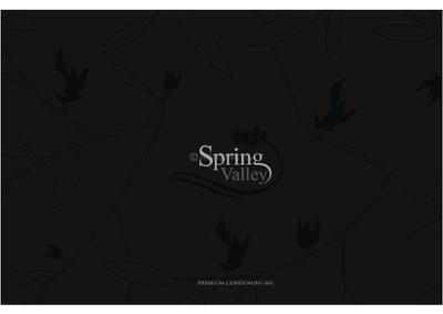 DMD Spring Valley Brochure 1