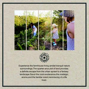 Golden Grass Brochure 6