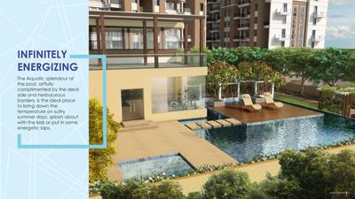 Dynamic Grandeur Essentia Brochure 2