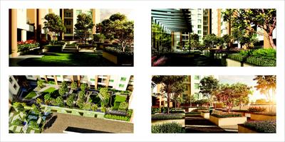 Raojee Palladium Plus Brochure 17