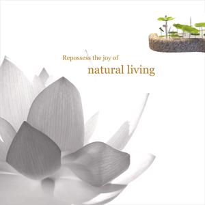 Alekhya Lotus Leaf Brochure 2