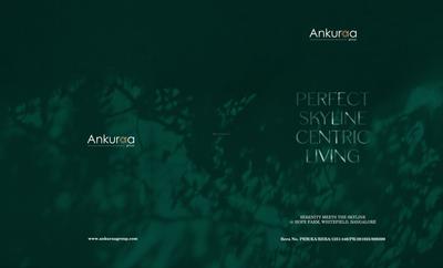 Pristine Park Brochure 1