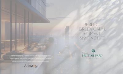 Pristine Park Brochure 2