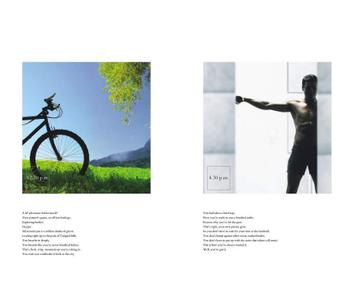 Cosmos Sun Glory Brochure 6