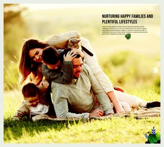 Praneeth KKRs Pranav Jaitra Brochure 15