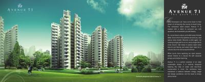 CHD Avenue 71 Brochure 3