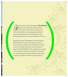 MSR Daffodils Brochure 3