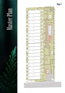 CEDAR STRING Brochure 6