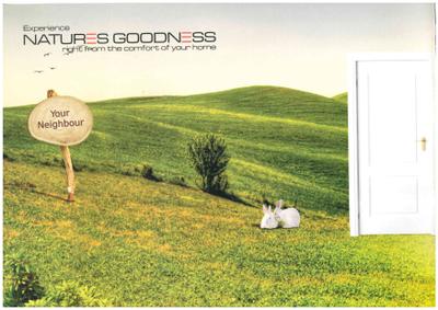Neel Ashima Brochure 2
