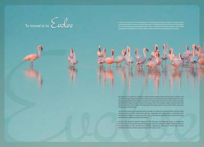 Rajyash Roseate Roots Brochure 2