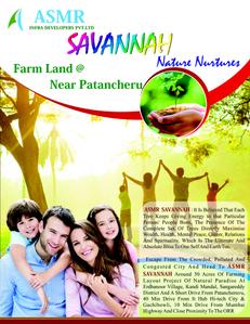 ASMR Savannah Brochure 1